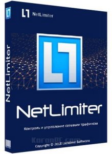 NetLimiter Pro 4.1.11 Crack + Registration Key [Latest] 2021
